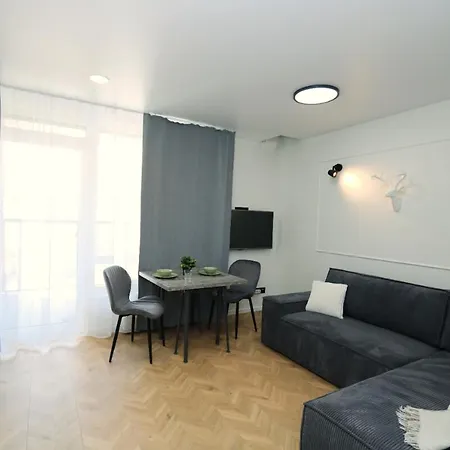 Апартаменти For Two Or Solo New Loggia Parking Wi-fi Вільнюс